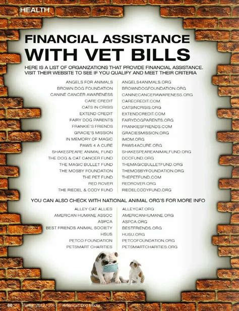 The Ultimate Guide to Financial Help with Vet Bills .